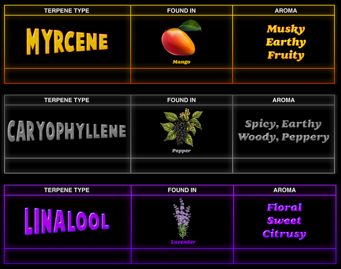 Top 3 Terpenes