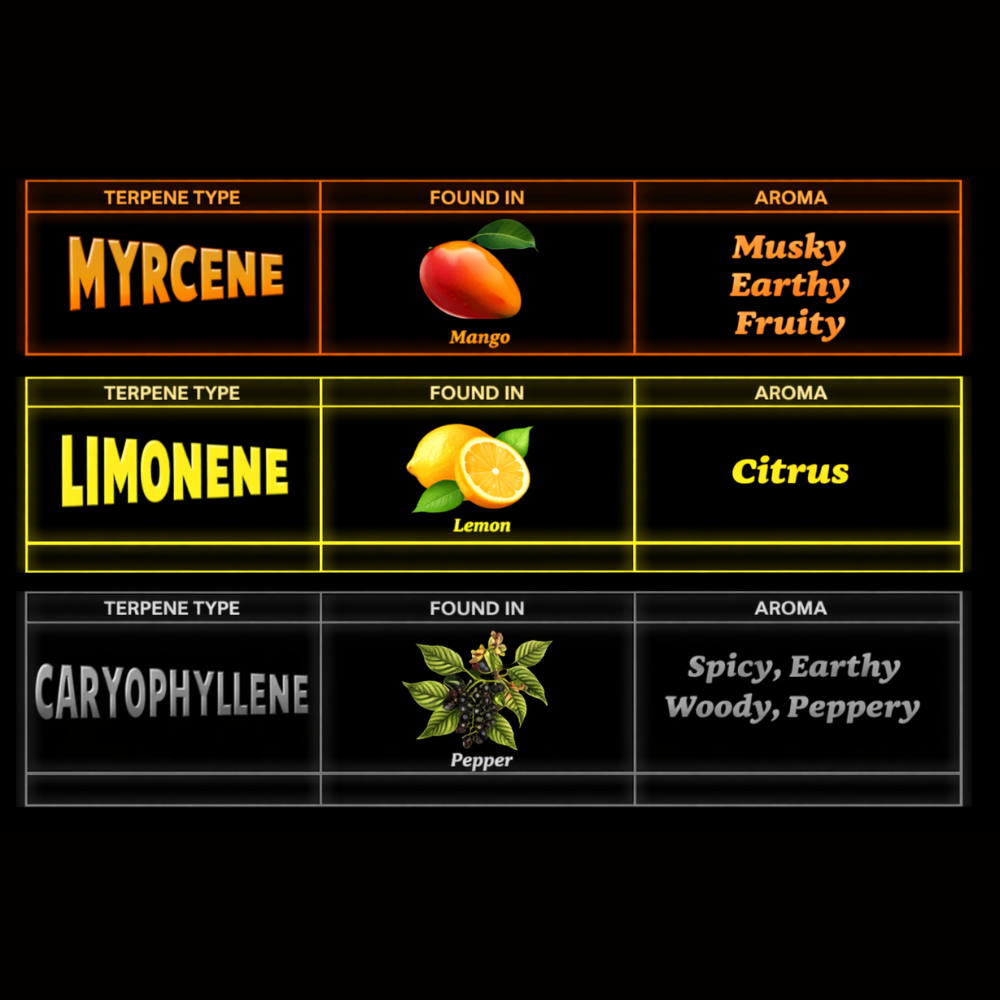 TOP 3 TERPENES