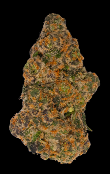 WHITE HOT GUAVA