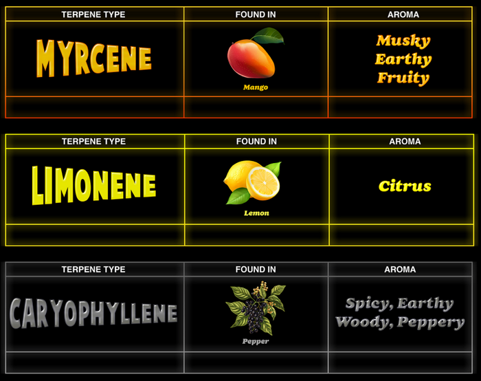Top 3 Terpenes