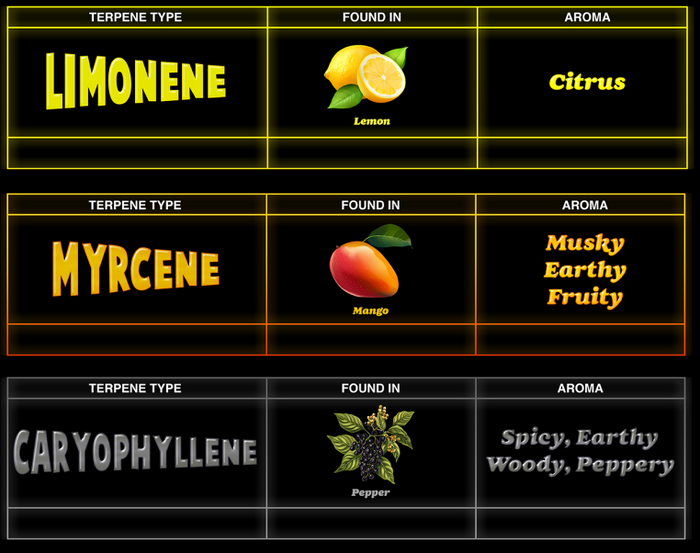 Top 3 Terpenes