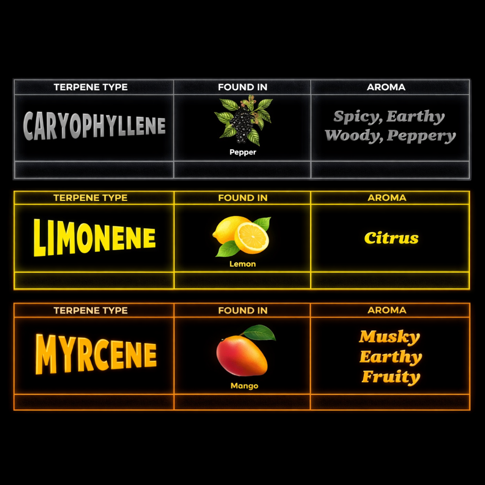 TOP 3 TERPENES