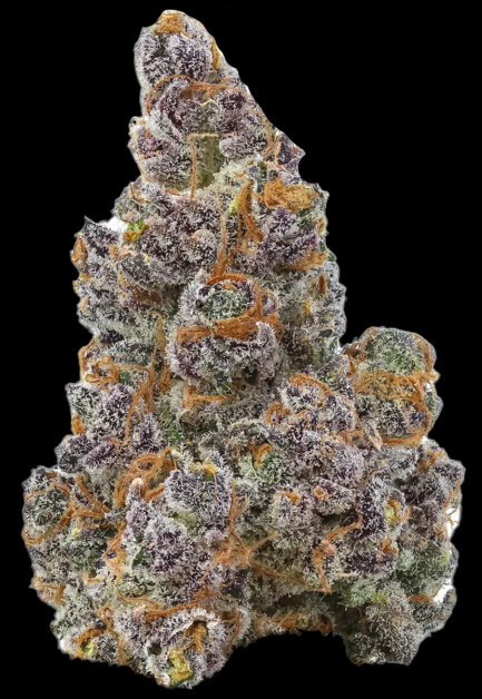 Glitterbomb