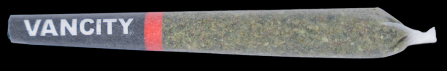 Indica