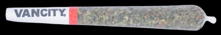 Sativa
