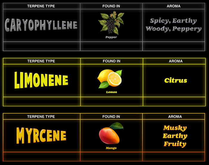 Top 3 Terpenes